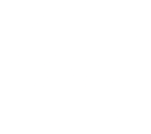 fitsi logo